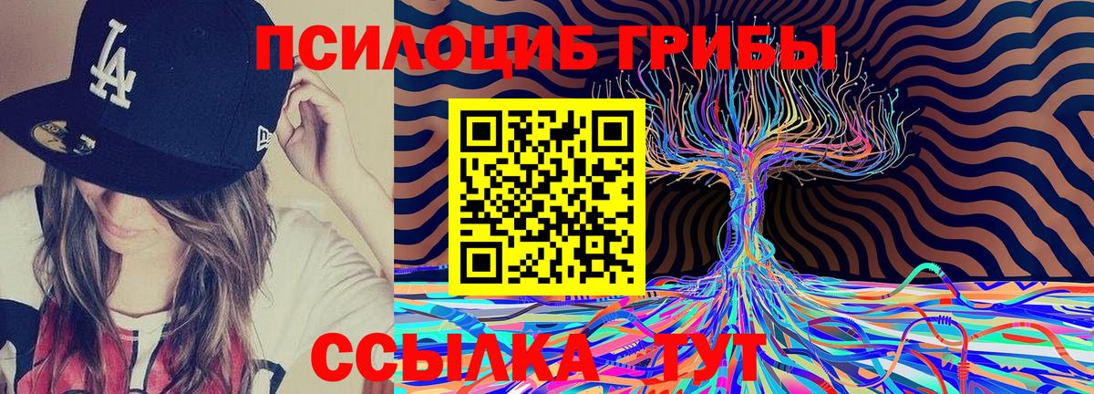 Псилоцибиновые грибы Psilocybine cubensis Старая Купавна